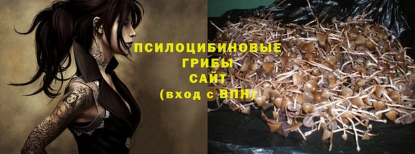 ГАЛЛЮЦИНОГЕННЫЕ ГРИБЫ Россошь