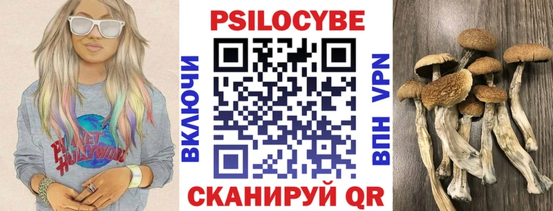 даркнет Telegram  как найти закладки  Апрелевка  Галлюциногенные грибы GOLDEN TEACHER  OMG сайт 