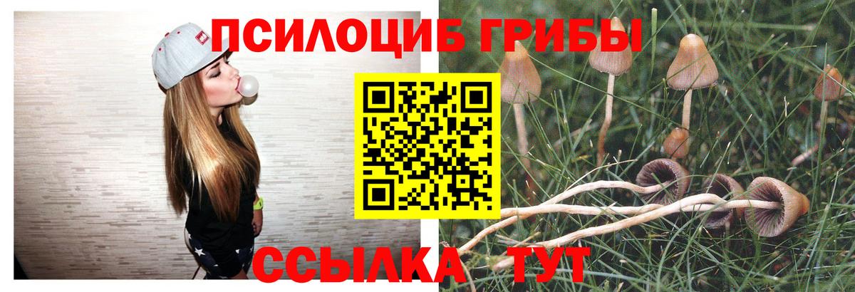 Псилоцибиновые грибы мицелий Апрелевка